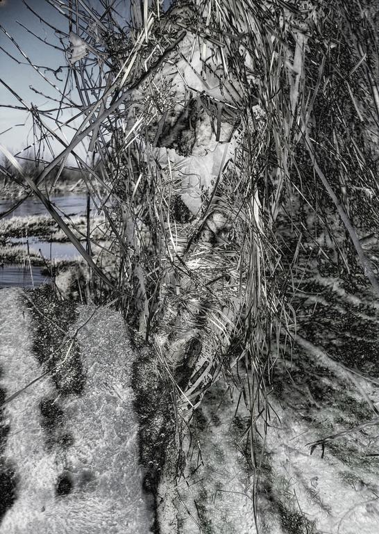 Catalogue raisonné, Daniel Boursin, phyto-fétiche — 2005