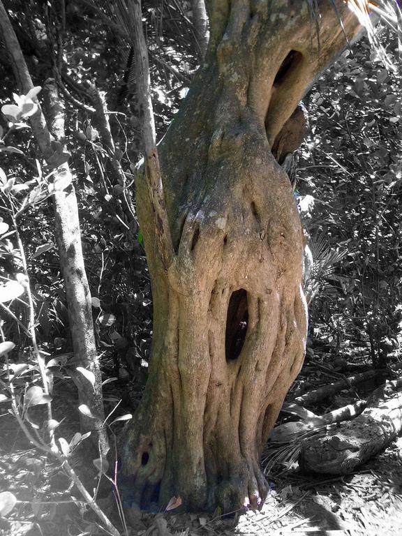 Catalogue raisonné, Daniel Boursin, tronfoo — 2015