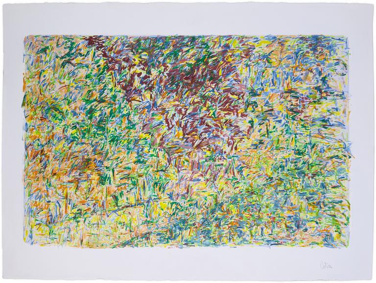 Catalogue raisonné, Bernadette Delrieu, Paysage Breton - 1993