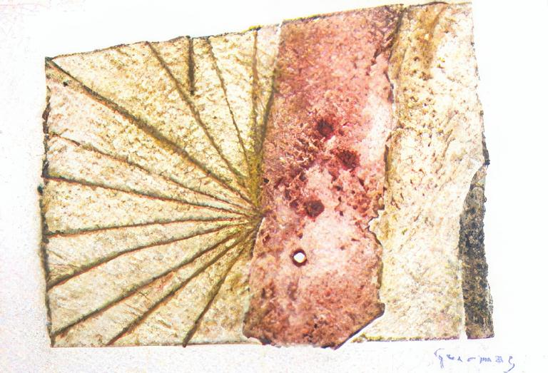 Catalogue raisonné, Abdelkader Guermaz, gravure