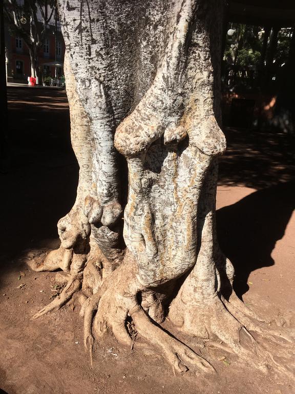 Catalogue raisonné, Daniel Boursin, stylish tree trunk — 2018