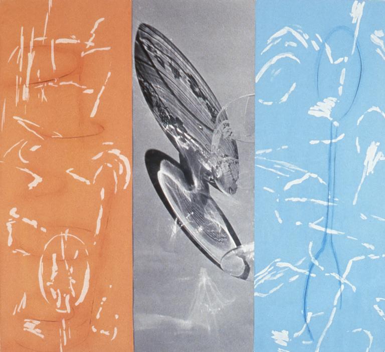 Catalogue raisonné, Bernadette Delrieu, Ivresse n°07 - 1988-1989