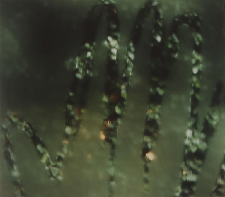 Catalogue raisonné, Bernadette Delrieu, Main vegétal N°01 - 1993