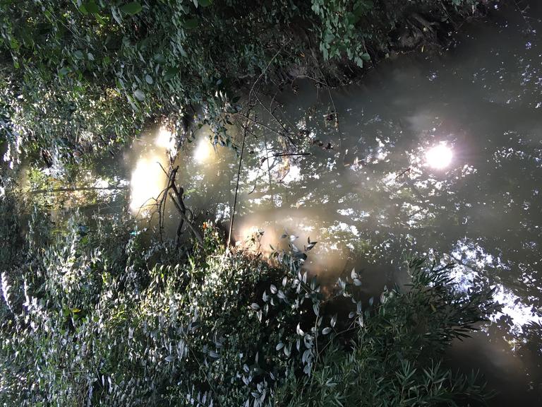 Catalogue raisonné, Daniel Boursin, chemin de ronde —2019