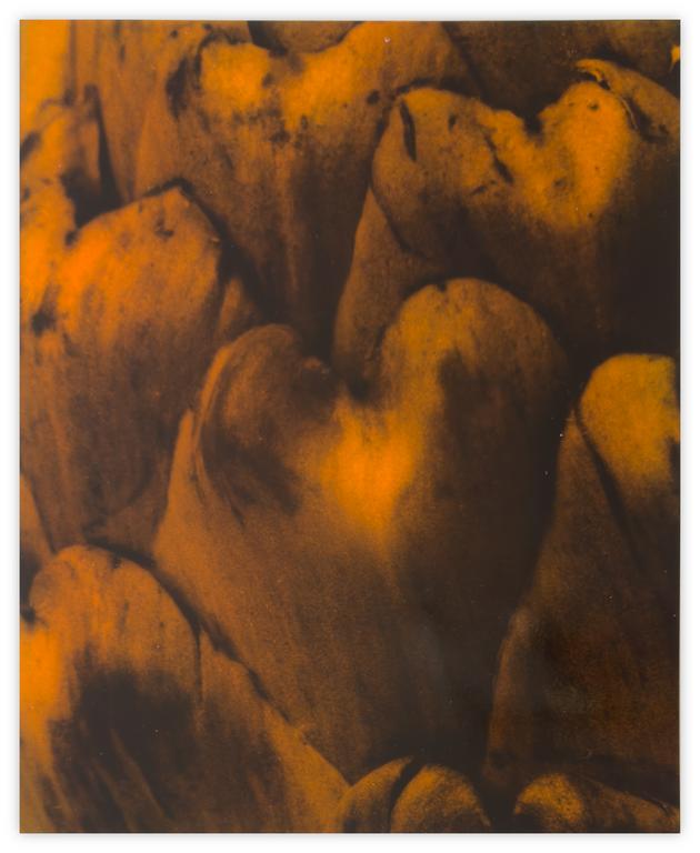 Catalogue raisonné, Bernadette Delrieu, Saveur n°22 b - 1992