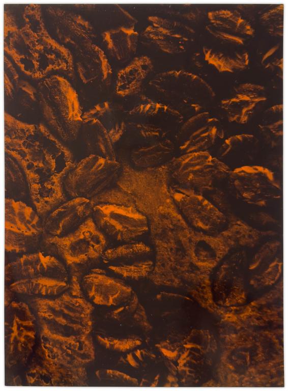 Catalogue raisonné, Bernadette Delrieu, Saveur n°18 a - 1992