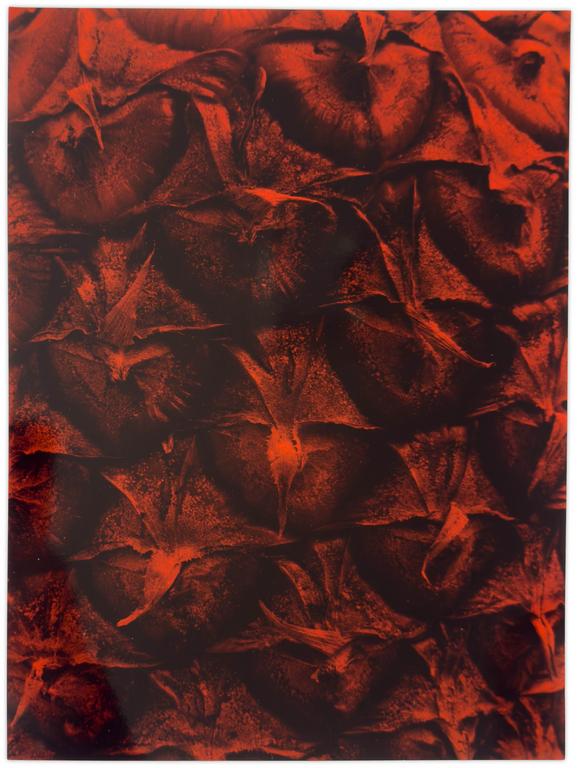 Catalogue raisonné, Bernadette Delrieu, Saveur n°16 c - 1992