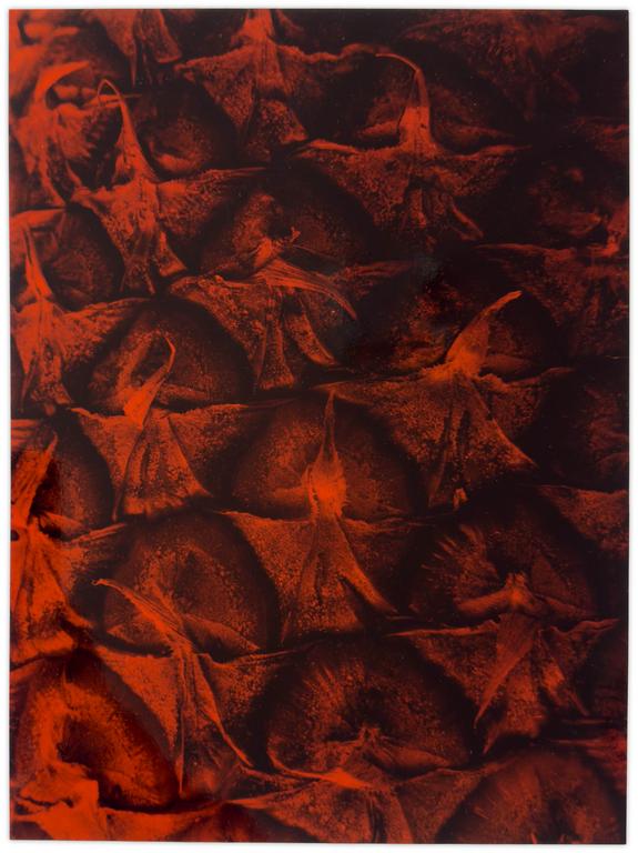 Catalogue raisonné, Bernadette Delrieu, Saveur n°16 - 1992