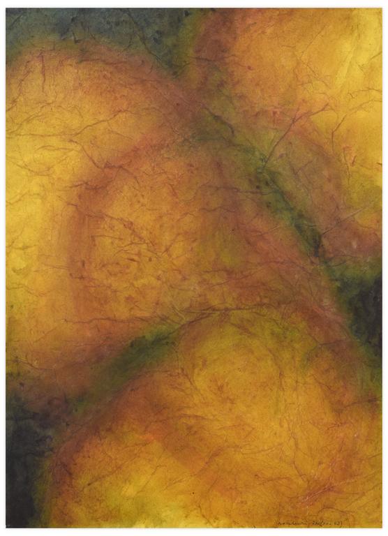 Catalogue raisonné, Henri Maccheroni, Nymphéas-méditation - 2002