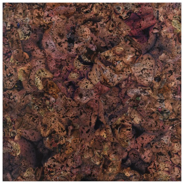 Catalogue raisonné, Henri Maccheroni, « Enfers », circa 2010