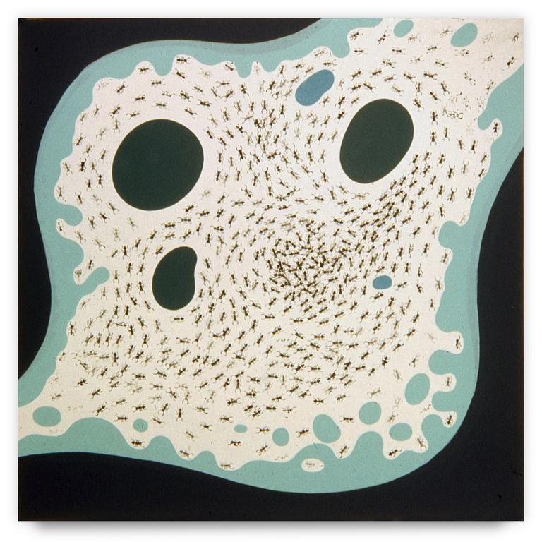 Catalogue raisonné, Henri Baviera, Fourmis 30 — 1970
