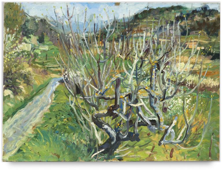 Catalogue raisonné, Henri Baviera, Figuiers au Malvan — 1960