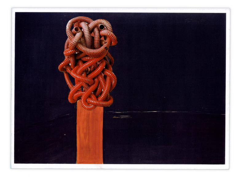 Catalogue raisonné, Henri Foucault, Double jeu, Günther Förg - 2025