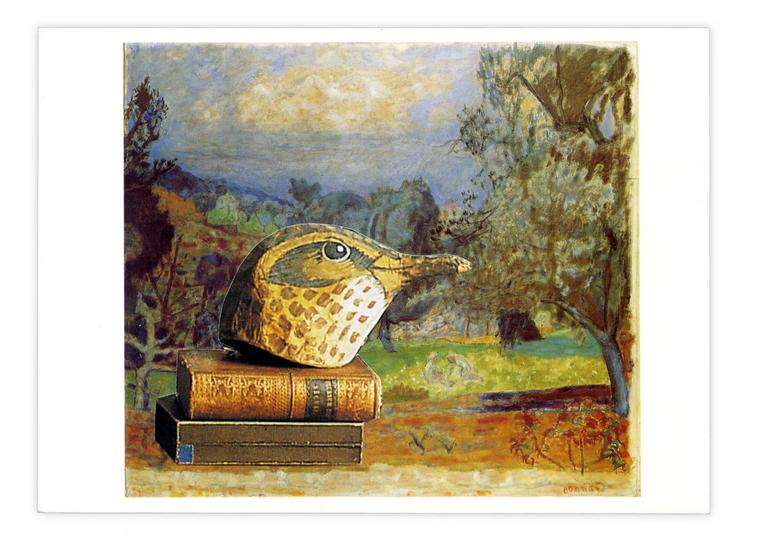 Catalogue raisonné, Henri Foucault, Double jeu, Pierre Bonnard - 2025