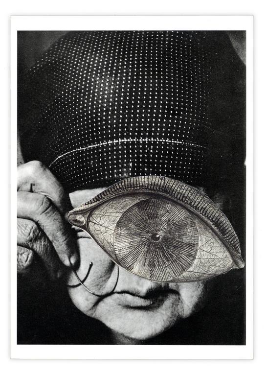Catalogue raisonné, Henri Foucault, Double jeu, Alexandre Rodtchenko - 2025