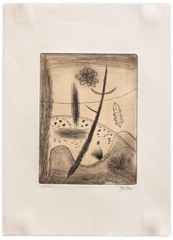 Catalogue raisonné, Henri Baviera, MUTATION ORGANIQUE — 2019