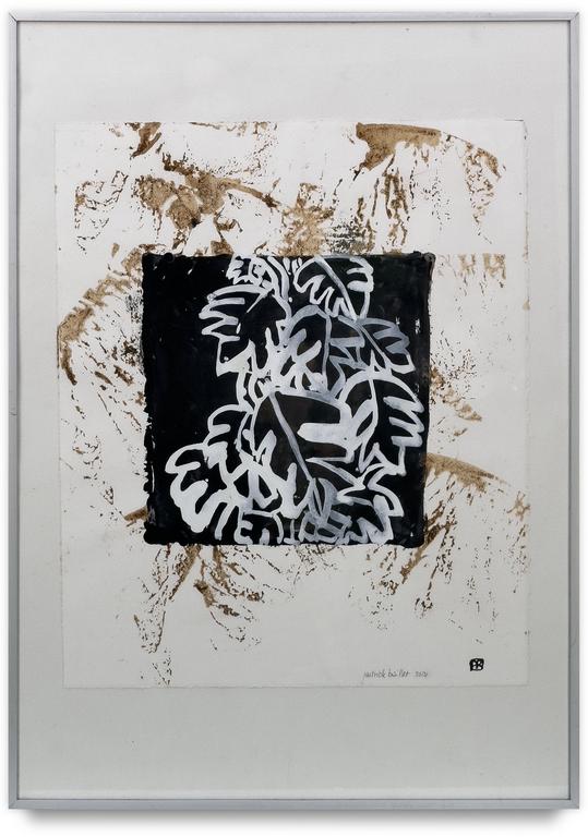 Catalogue raisonné, Patrick Baillet, Végétal noir et blanc - 2012