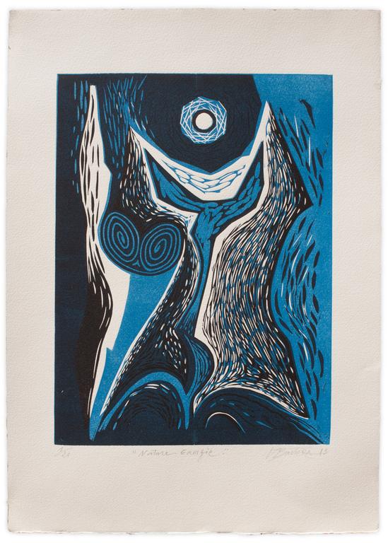 Catalogue raisonné, Henri Baviera, NATURE ENERGIE — 2016