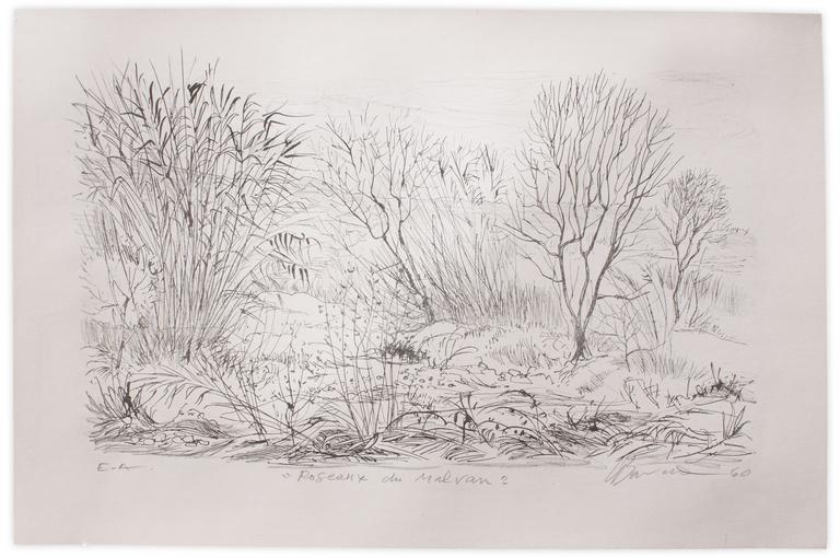 Catalogue raisonné, Henri Baviera, ROSEAUX DU MALVAN — 1960