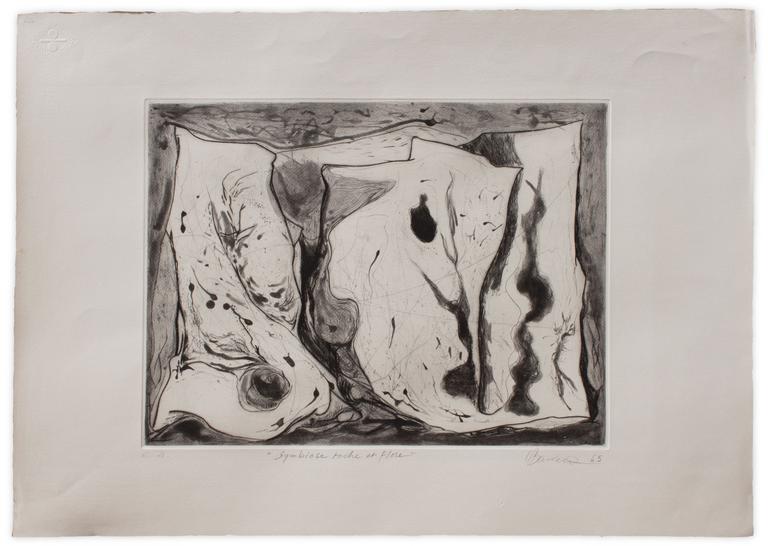 Catalogue raisonné, Henri Baviera, SYMBIOSE ROCHE ET FLORE — 1965