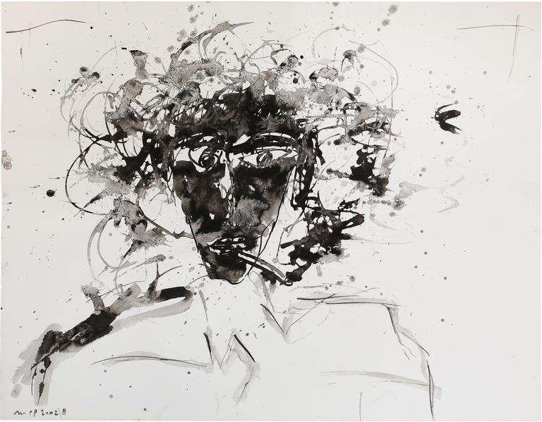 Catalogue raisonné, Michel Potage, SANS TITRE — 2002