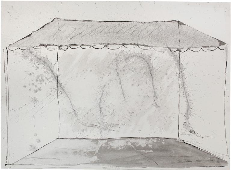 Catalogue raisonné, Michel Potage, SANS TITRE — 2013