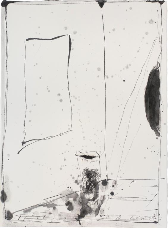 Catalogue raisonné, Michel Potage, SANS TITRE — 2013