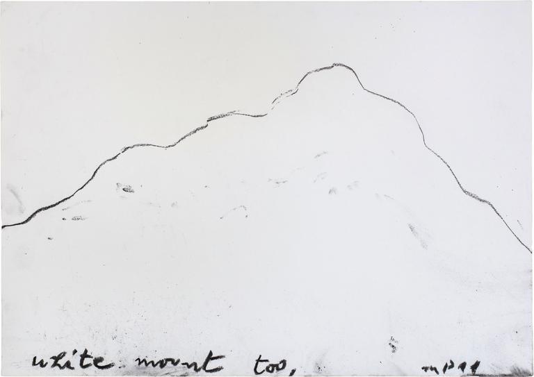 Catalogue raisonné, Michel Potage, WHITE MOUNT TOO — 2011