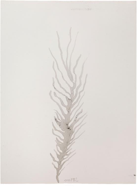 Catalogue raisonné, Michel Potage, SANS TITRE — 2012