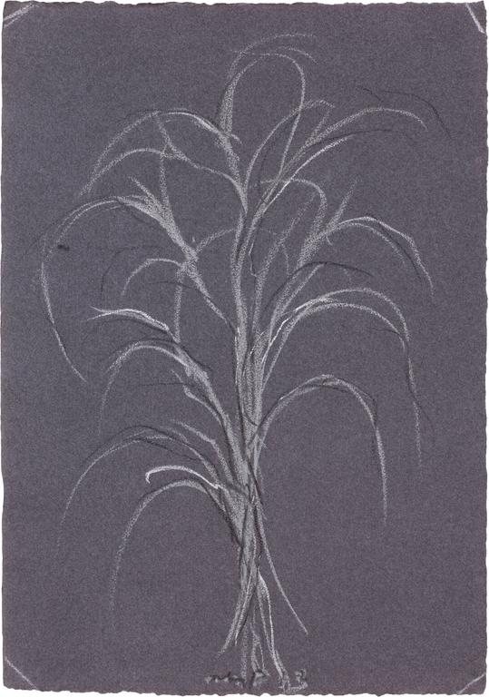 Catalogue raisonné, Michel Potage, SANS TITRE — 2013