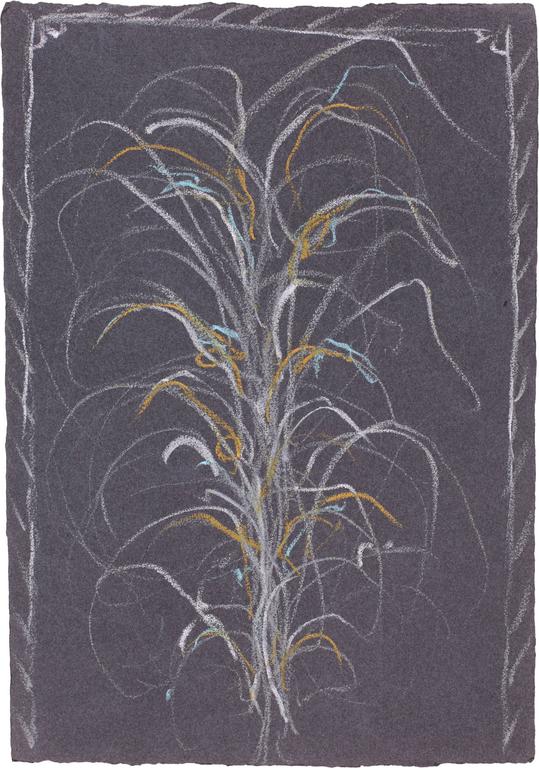 Catalogue raisonné, Michel Potage, SANS TITRE —