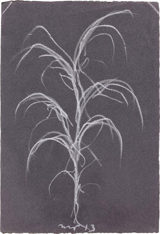 Catalogue raisonné, Michel Potage, SANS TITRE — 2013