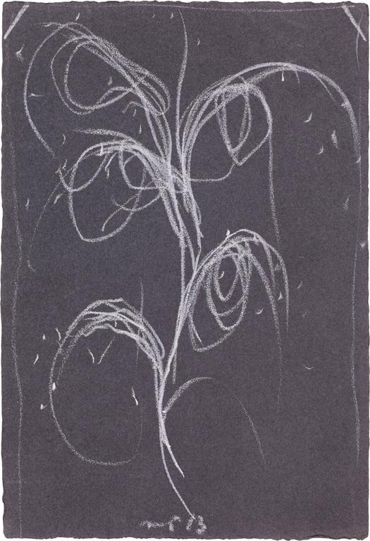 Catalogue raisonné, Michel Potage, SANS TITRE — 2013