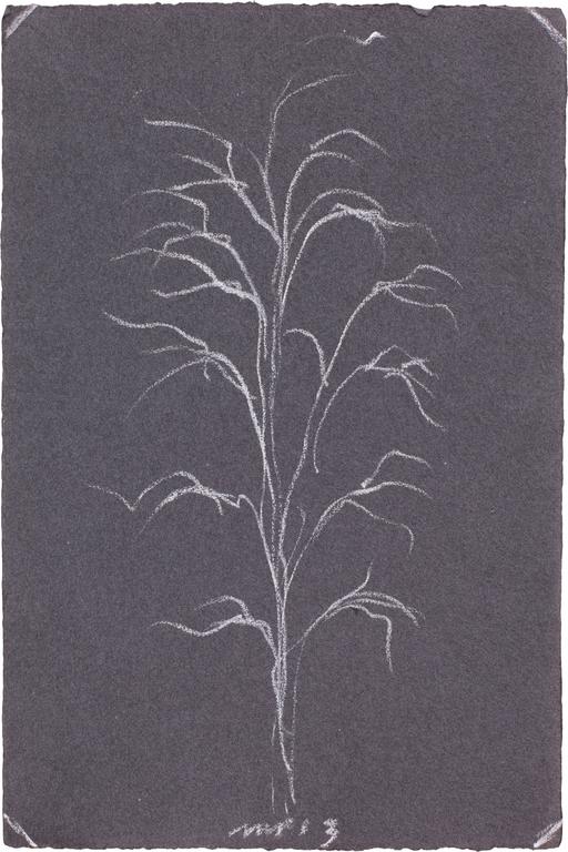 Catalogue raisonné, Michel Potage, SANS TITRE — 2013