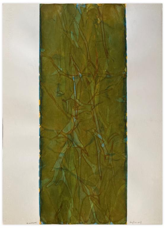 Catalogue raisonné, Henri Maccheroni, Nymphéas-méditation, Nymphéas II, jardins d’eaux et autres paysages - circa 1998-2001