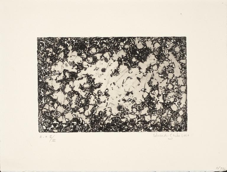Catalogue raisonné, Gérard Serée, Gravure n°892 - 2020
