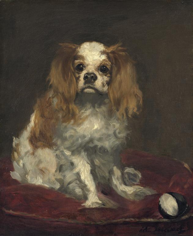 Catalogue raisonné, Edouard Manet, Le King Charles Spaniel