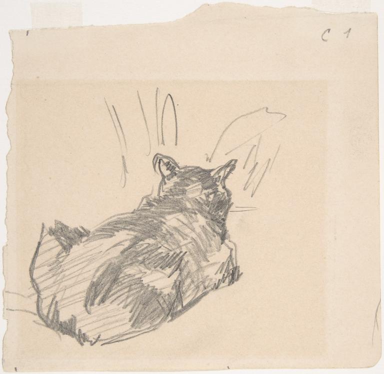 Catalogue raisonné, Edouard Manet, Un chat se reposant, vu de derrière