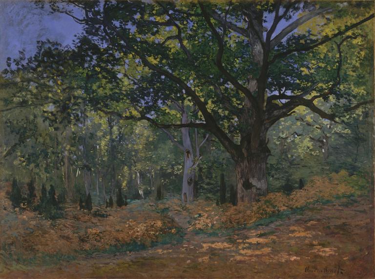 Catalogue raisonné, Claude Monet, Le chêne Bodmer, Forêt de Fontainebleau