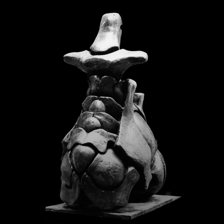 Catalogue raisonné, Henri Foucault, Échine - 1978