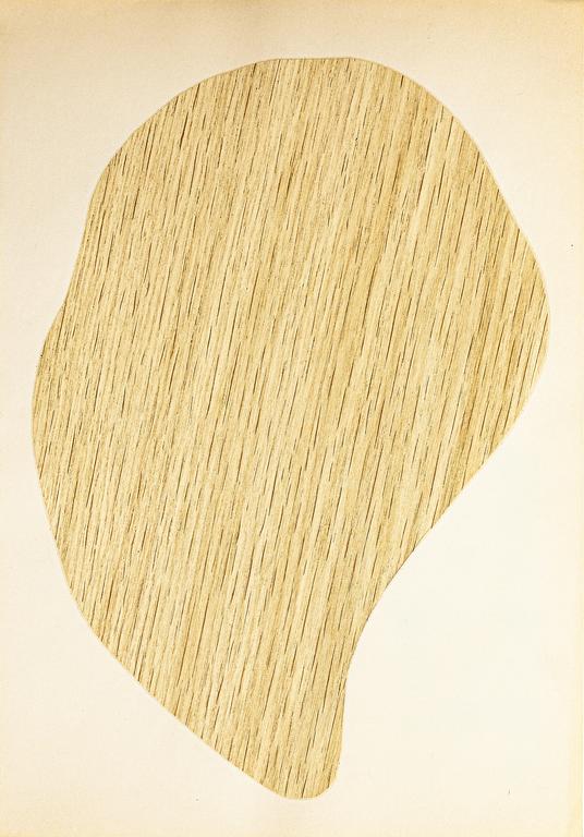 Catalogue raisonné, Henri Foucault, Étude de forme 24 - 1991