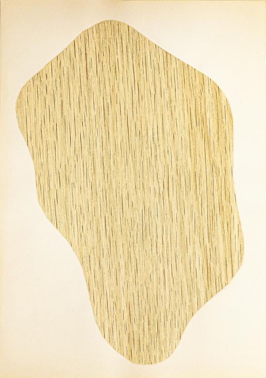 Catalogue raisonné, Henri Foucault, Étude de forme 25 - 1991