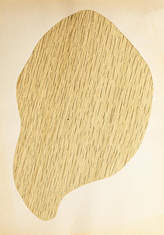 Catalogue raisonné, Henri Foucault, Étude de forme 27 - 1991