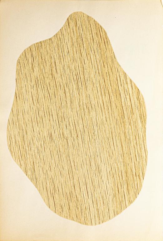 Catalogue raisonné, Henri Foucault, Étude de forme 30 - 1991