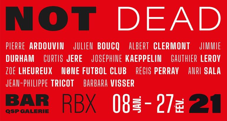 Not dead | Pierre Ardouvin, Julien Boucq, Albert Clermont, Jimmie Durham, Curtis JerÃ©, JosÃ©phine Kaeppelin, Gauthier Leroy, ZoÃ© Lheureux, NÃ¸ne Futbol Club, RÃ©gis Perray, Anri Sala, Jean-Philippe Tricot et Barbara Visser