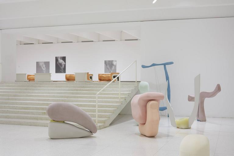 Nairy Baghramian: DÃ©formation Professionnelle installation view at Walker Art Center