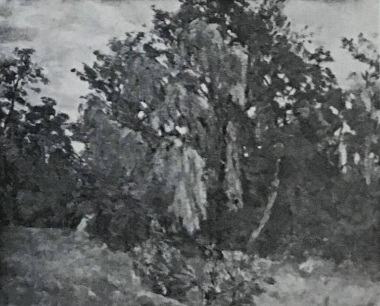 Catalogue raisonné, Armand Guillaumin, Paysage aux Grands Arbres