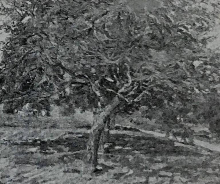 Catalogue raisonné, Armand Guillaumin, Arbres en Ile-de-France