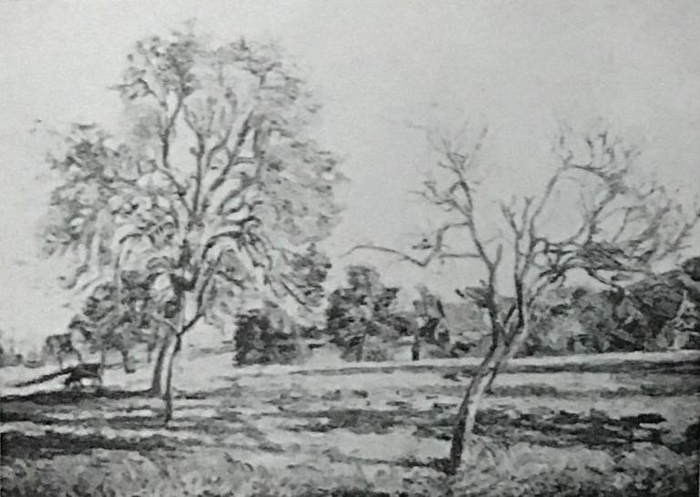 Catalogue raisonné, Armand Guillaumin, Damiette été de la Saint-Martin