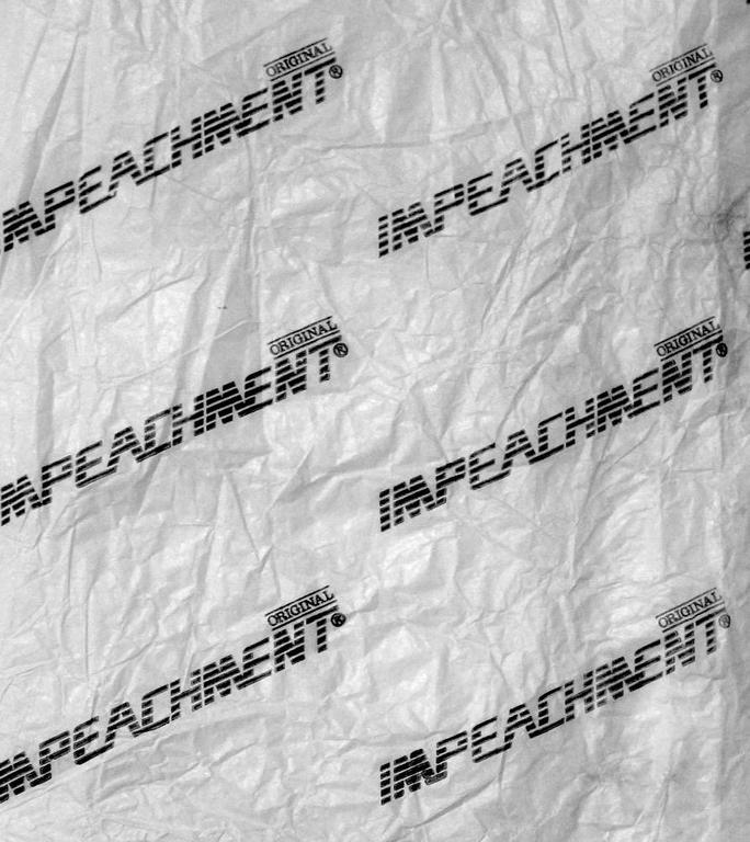 "Impeachment", Lucas KrÃ¶eff, Courtesy of the artist